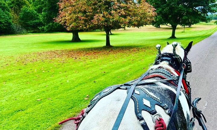 Killarney Jaunting Car Tour