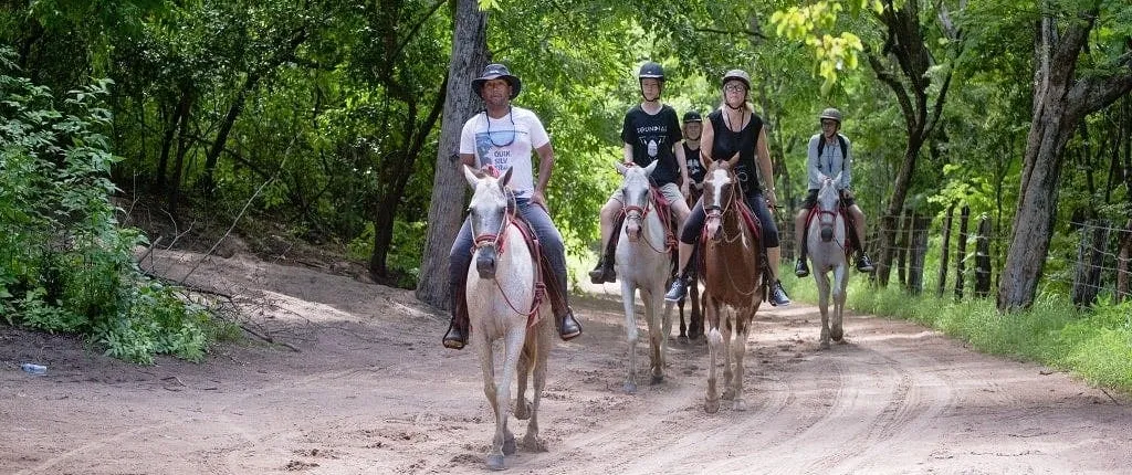 Guanacaste horse-riding adventure