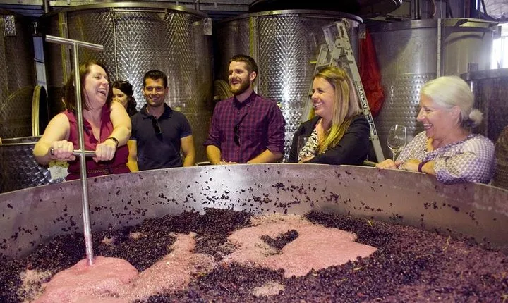Mornington Peninsula Winery Tour - Lunch Included