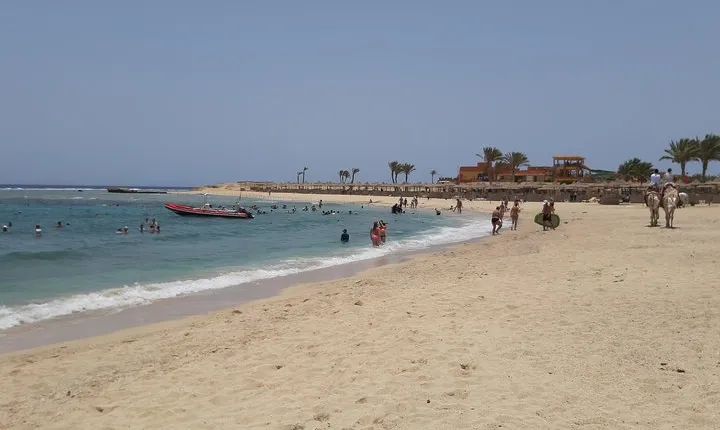 Turtles Bay, Swimming with Turtles Hurghada & Marsa ALam