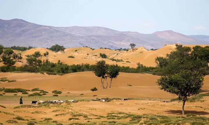 Immersive Mongolian Gobi experience, Camel, Cousine, Stargaze, 2D