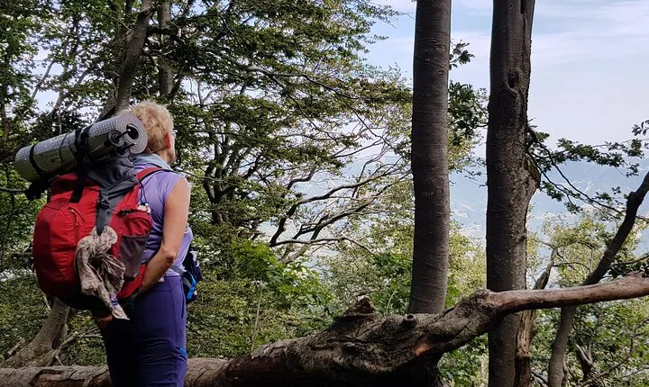 Full-Day Private Hike in Foreste Casentinesi National Park
