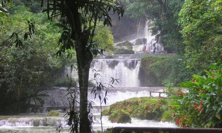 YS Falls and Sightseeing Tour Day Adventure