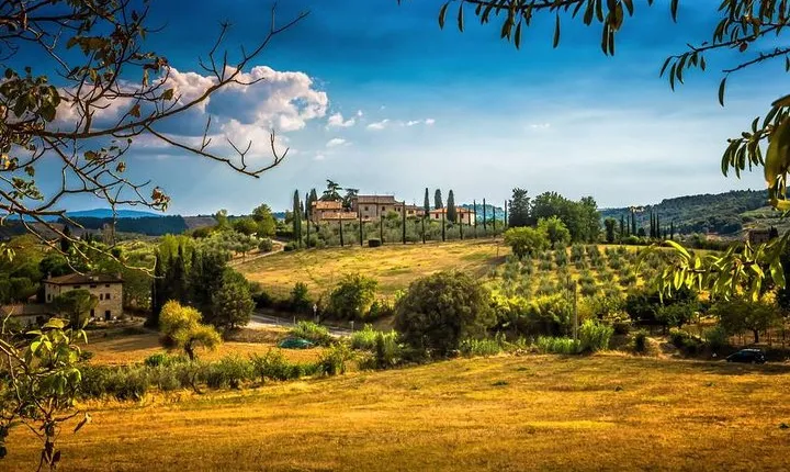 Private Carmignano Tour: The First Cabernet Sauvignon in Tuscany