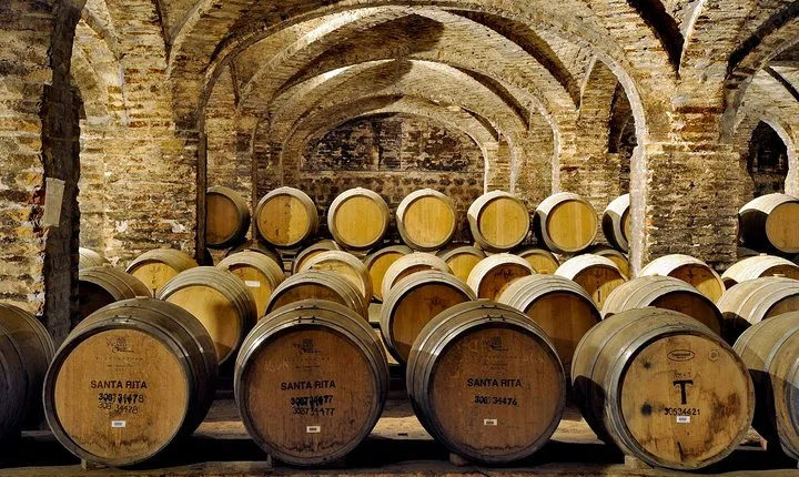 Santa Rita Winery Selection Tour