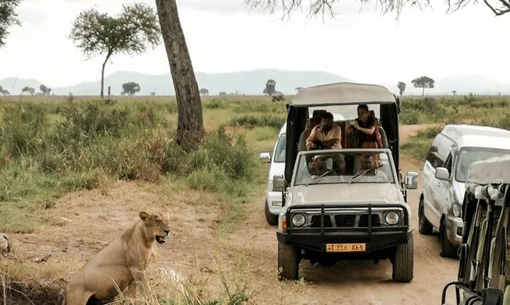 2-Day and 1 night Mikumi Safari Game Drive
