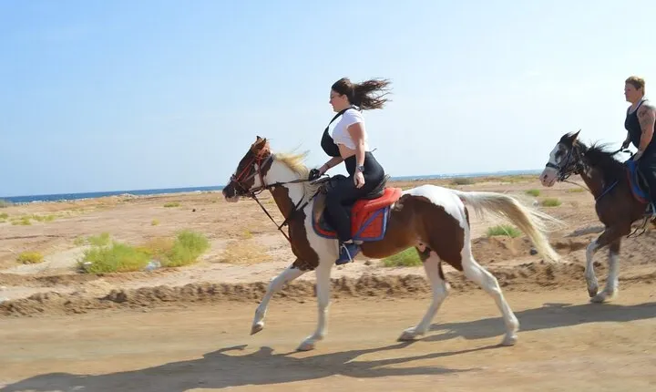 1 Hour Horse Ride Adventure Through the Desert – Sharm El Sheikh