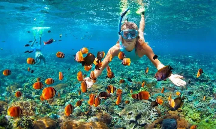 4 Point Snorkeling Nusa Penida from Bali