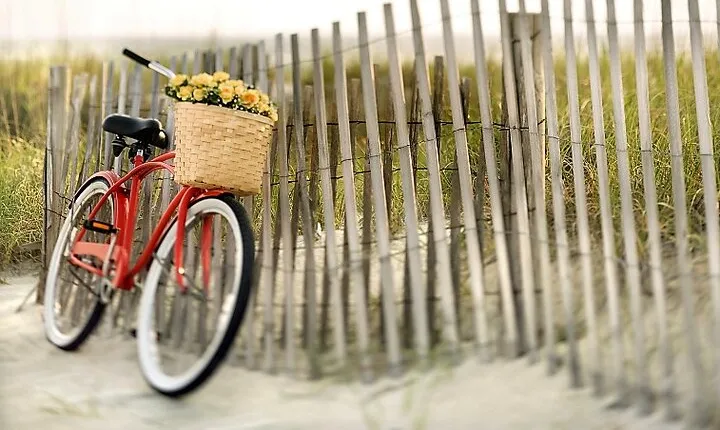 Lido Bike Tour: With a Local on the Island of Cinema