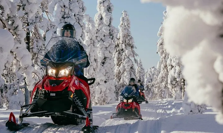 Snowmobile Safari into the Arctic Circle Forest