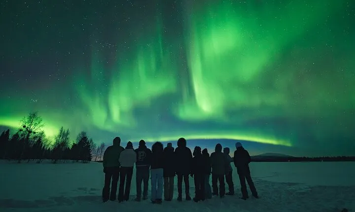 Rovaniemi: Aurora Hunt with Photograph & money back guarantee