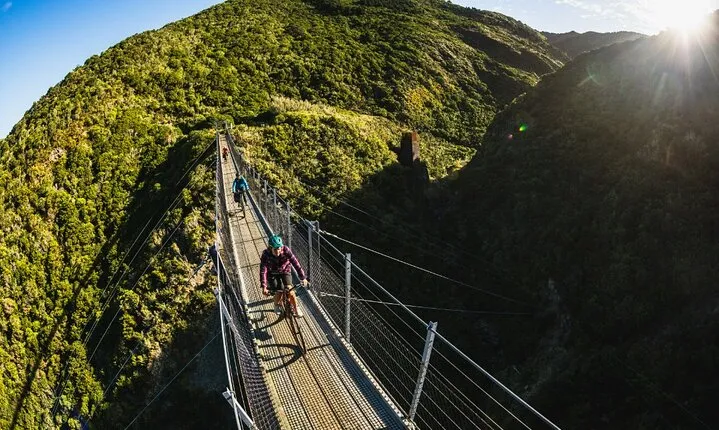 Remutaka Rail Trail eBike Explorer Cycle Tour