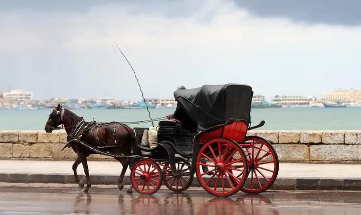 Alexandria Horse Carriage Tour 