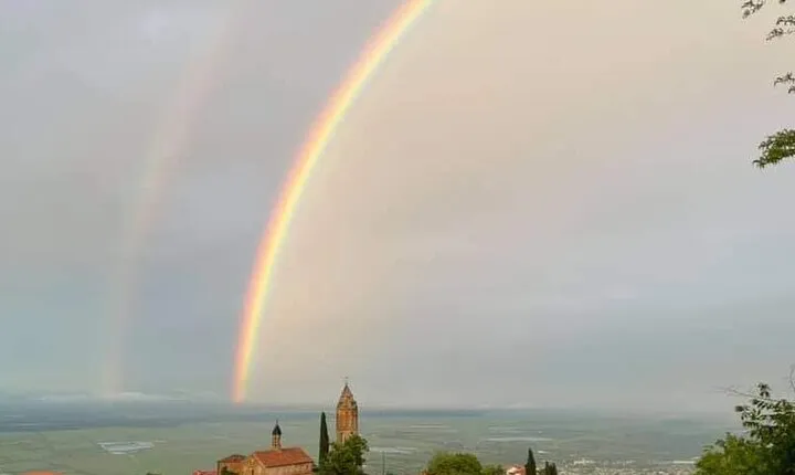 Shared Transfer from Signagi to Tbilisi