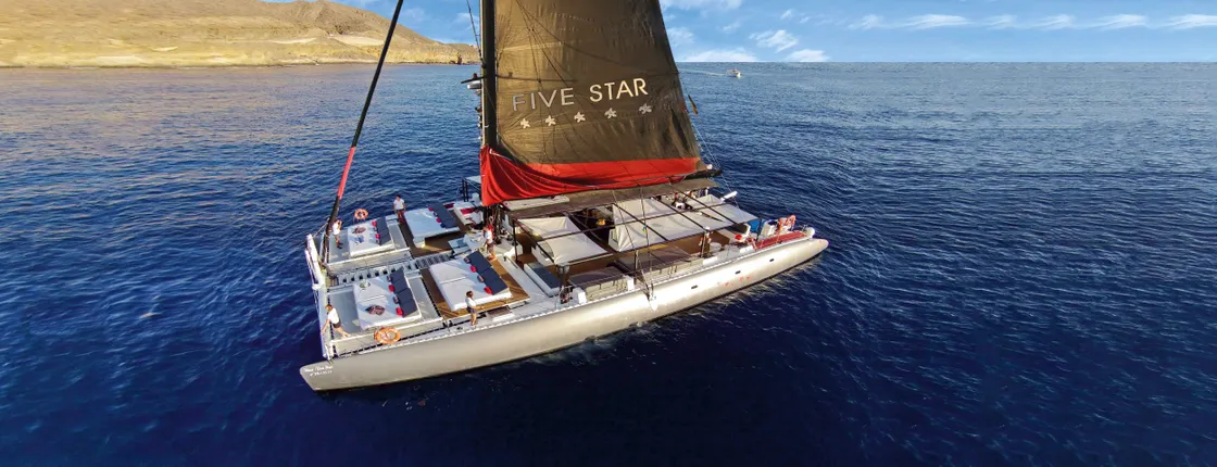 Five Star Catamaran Cruise from Puerto Rico