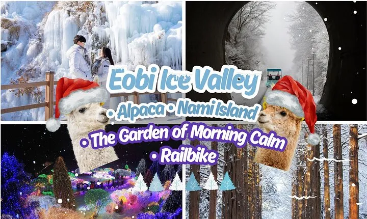 Eobi Ice Valley & Alpaca World & Nami Island (+Railbike/Garden)