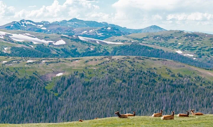 Summer Private Rocky Mountain National Park Driving Tour