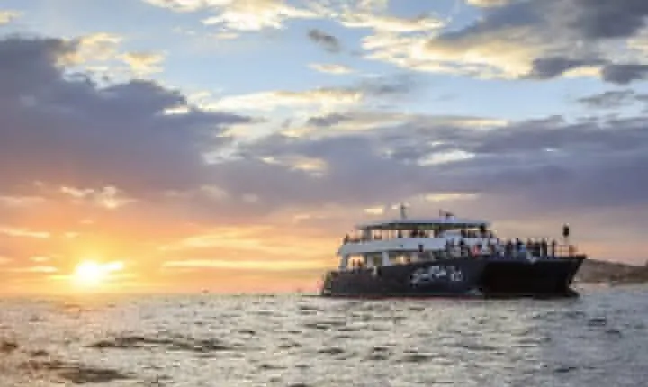 Sunset Dinner Cruise in Los Cabos