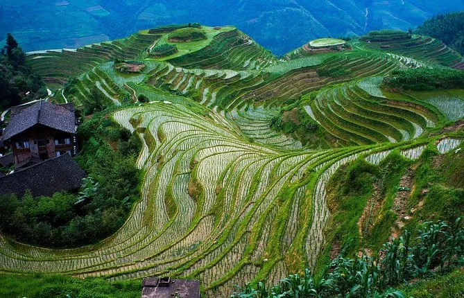 Private tour to World's Most Incredible LongJi Rice Terrace