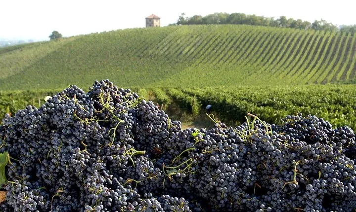 Valtellina Food Tour : Lake Como and Mountains discover - Private tour