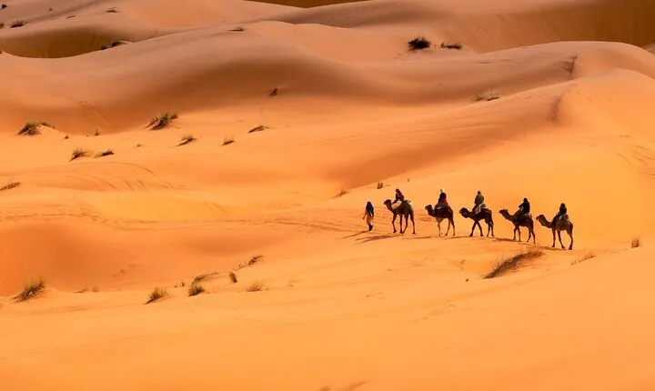 Private Sunrise Safari Tour in Abu Dhabi with Camel Ride