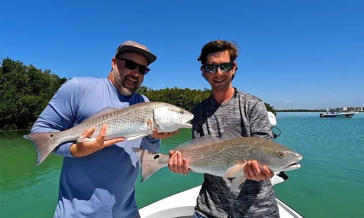 Half day fishing Charter in St. Petersburg Florida