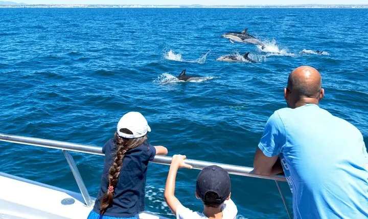 Private Boat Full-Day Tour to Dolphin House & Transfer - Hurghada
