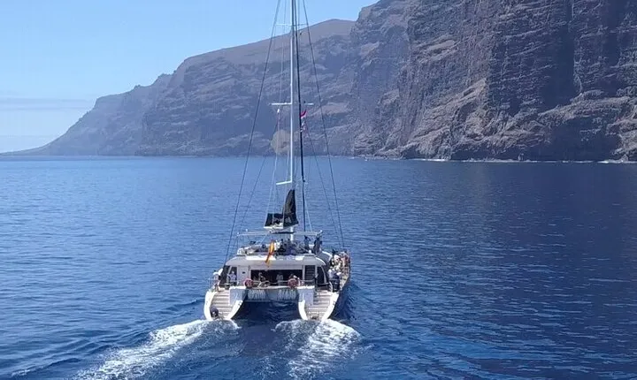 Whale Watching Catamaran to Los Gigantes & Masca (Including drinks & warm lunch)
