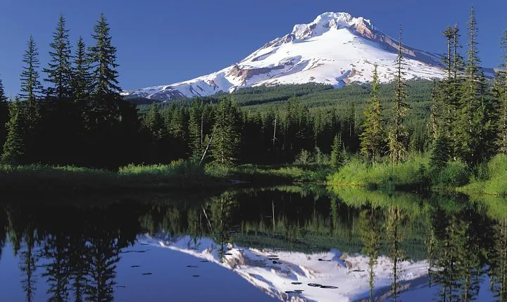 Columbia River Gorge Waterfalls & Mt Hood Tour from Portland, OR