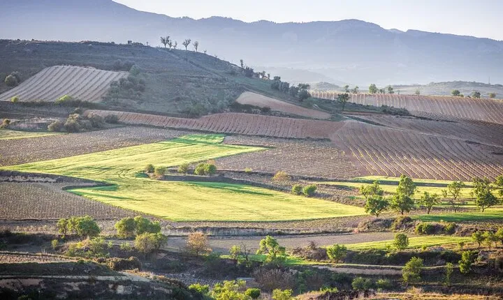 Private Tour to Logroño and Two Wineries from San Sebastian