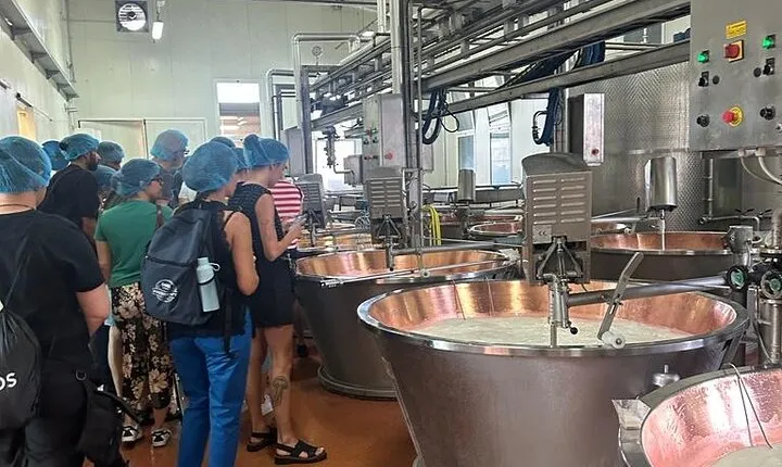 Day Tour Parmigiano, Ferrari Museum, Balsamic, Lambrusco, Lunch with Transfer
