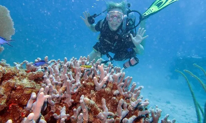 Discover Fajardo: 2-Tank Scuba Diving