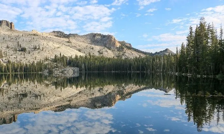 Yosemite and Kings Canyon National Park 2 Day Tour from LA