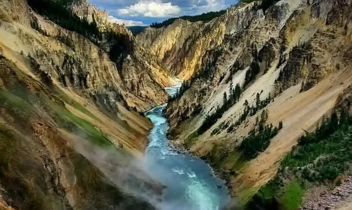 Private Yellowstone Lower Loop Tour