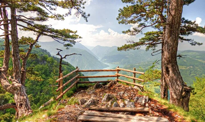 Full Day Trip from Belgrade: The Drina River House And Tara Park Tour