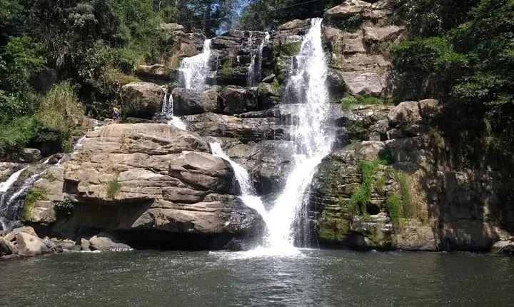 2 Nights at natural reserve with coffee farm tour and hike