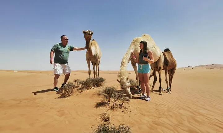 Morning Desert Safari With Quad Bike