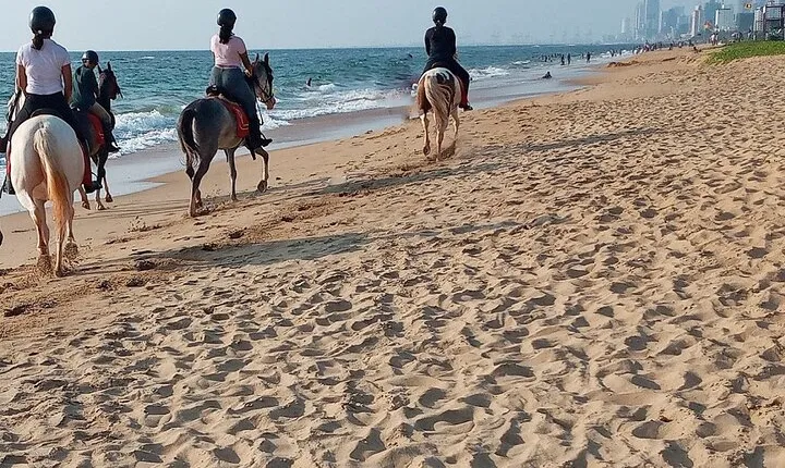 Half-Day Horse Riding in Kalpitiya