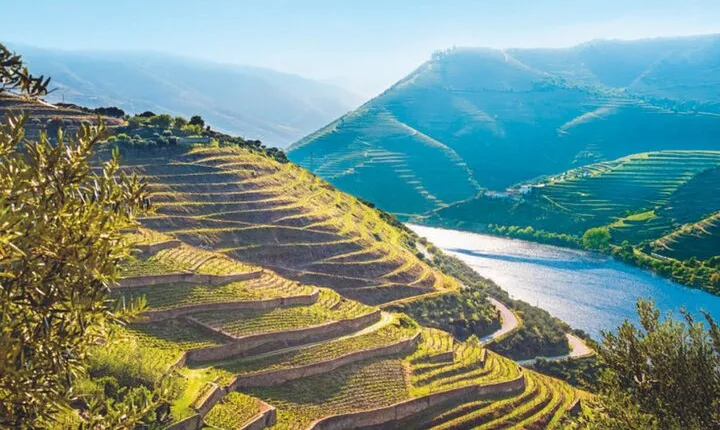 Private Douro Valley Tour with Yacht, Wine tasting and Lunch