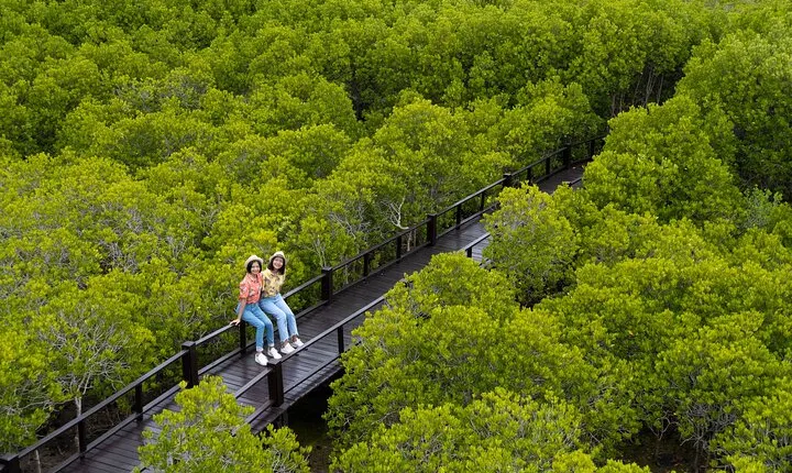 Pranburi Mangrove Swamp and River Cruise