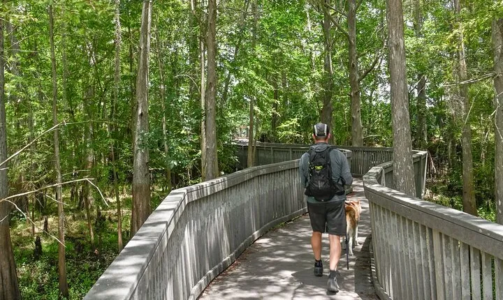 Orlando Wildlife Safari Hike with a Wildlife Photographer