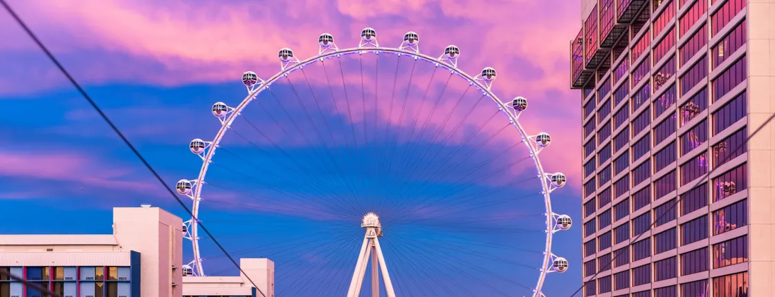 Tickets to Fly LINQ Zipline