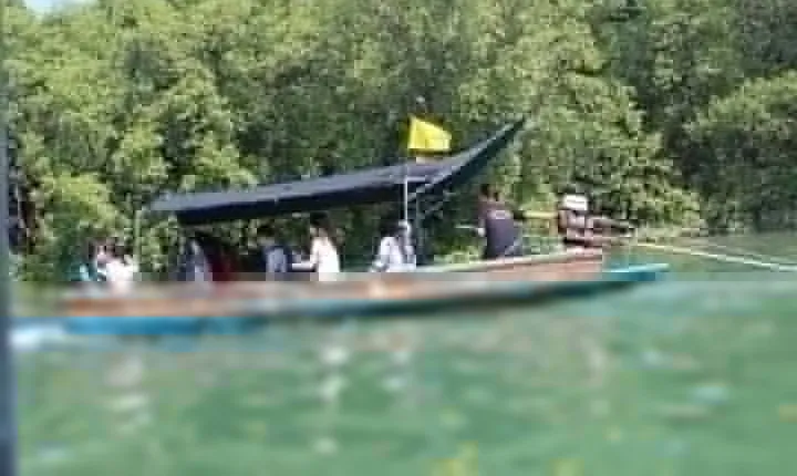 Pranburi Mangrove Swamp and River Cruise