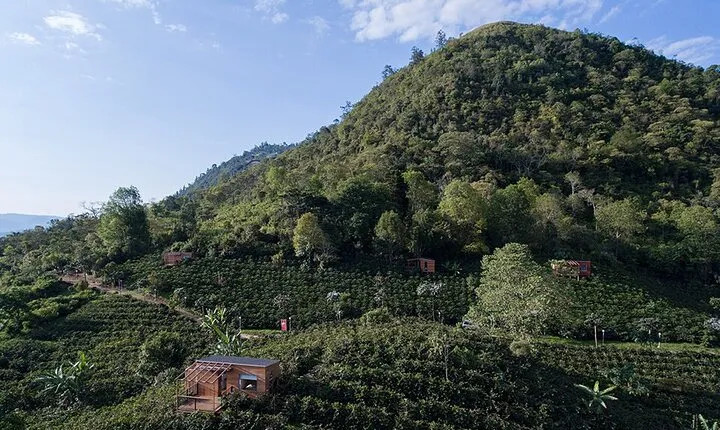 Private Coffee Farm Tour near Bogotá with Local Barista