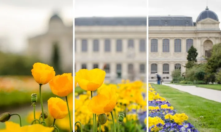 Further training workshop