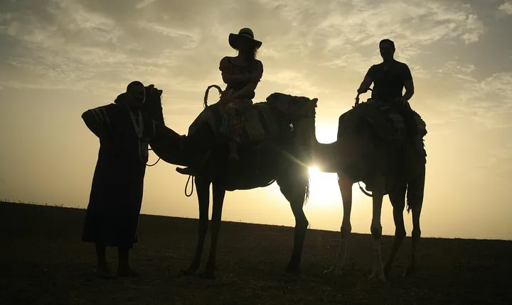 Camel ride and magical dinner in Agafay desert