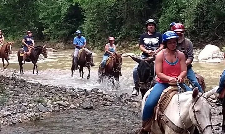 Combo Horse Back Riding and Zip Line in Vallarta