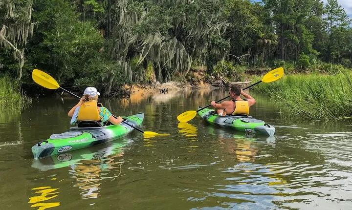 Hilton Head Outback Boat and Kayak Adventure
