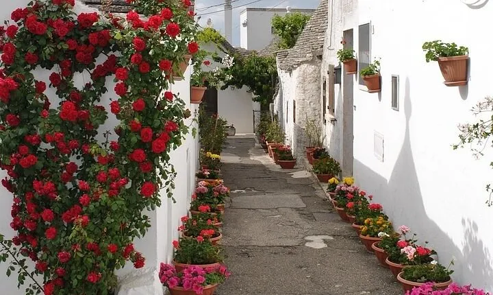 Alberobello with a local tour guide!