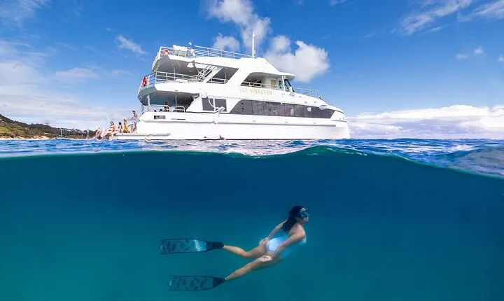 Dolphin & Tangalooma Wrecks Snorkel Cruise & Lunch - Brisbane
